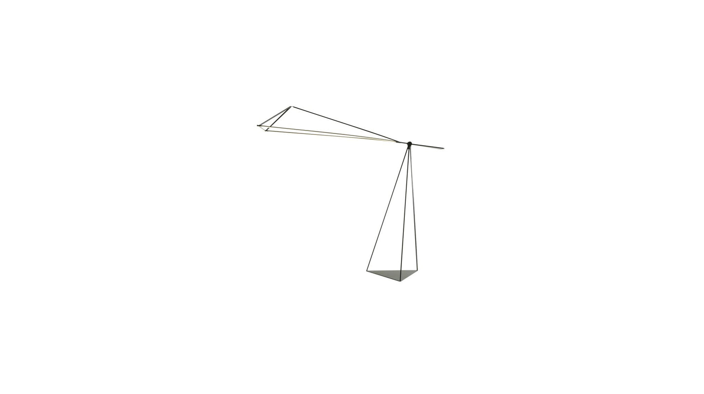 TRACE ANGLED FLOOR LAMP by Roche Bobois