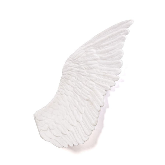 Porcelain Decorative Object Memorabilia Mvsevm Wing Right by Seletti