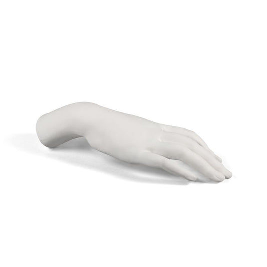 Porcelain Decorative Object Memorabilia Mvsevm Female Hand by Seletti