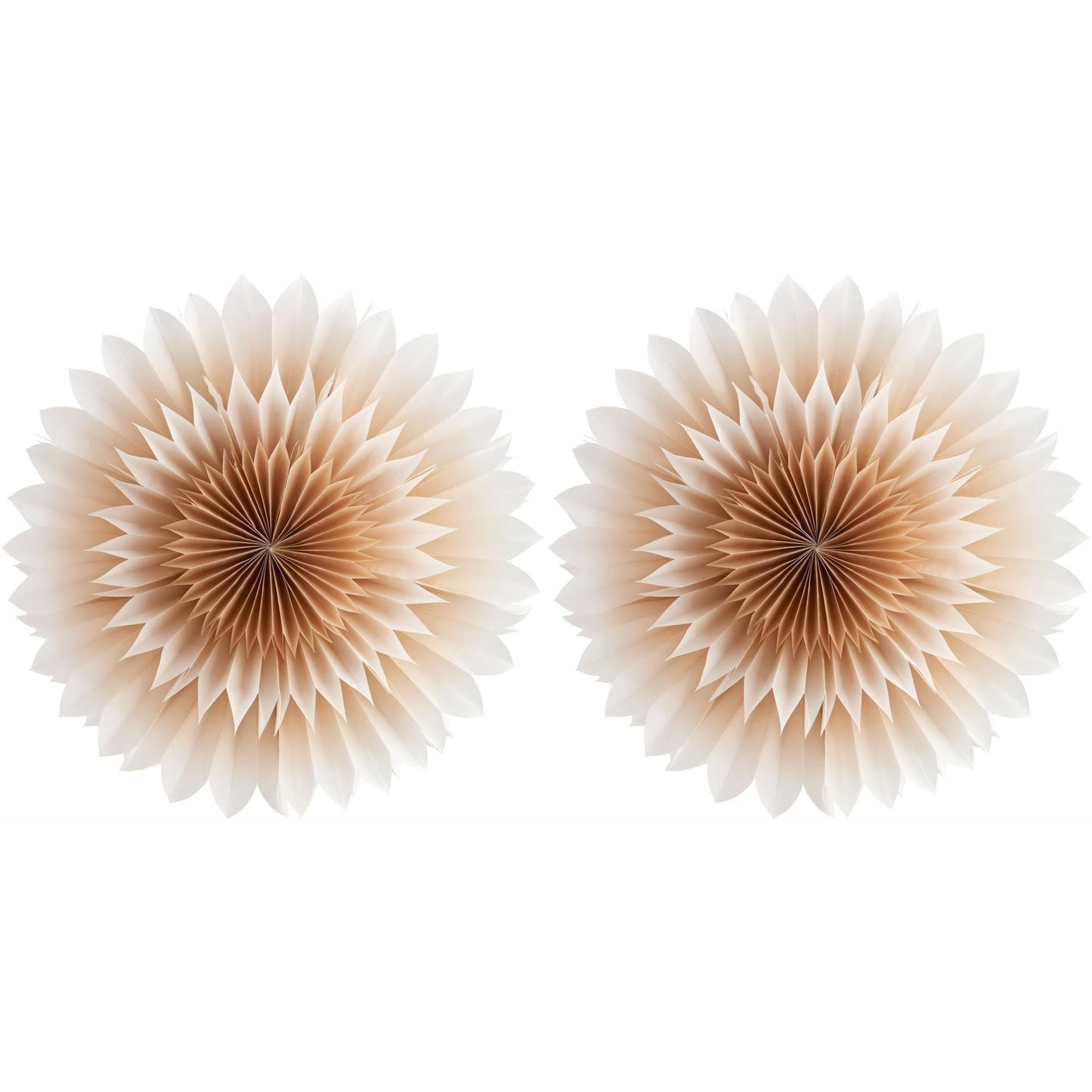 Department Lily Paper Star Golden Beige Set of 2