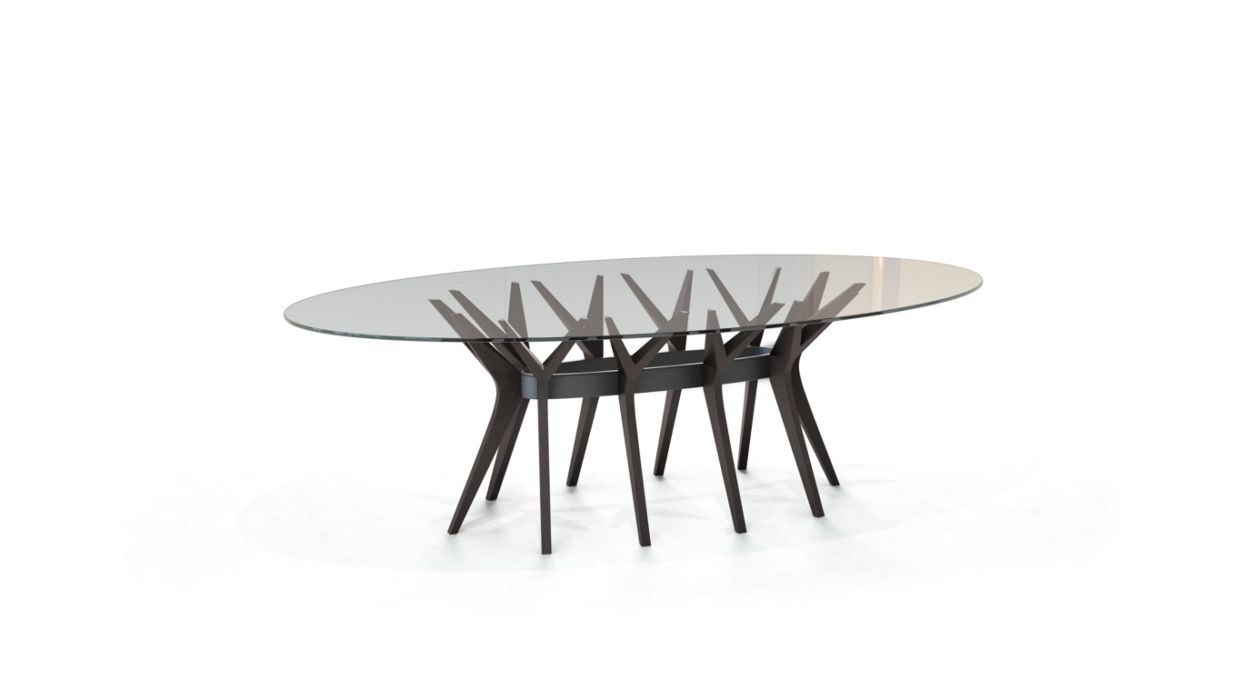 ASTER OVAL DINING TABLE by Roche Bobois