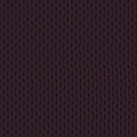 AUBERGINE