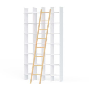 FNP Library Ladder by Nis Holger Moorman