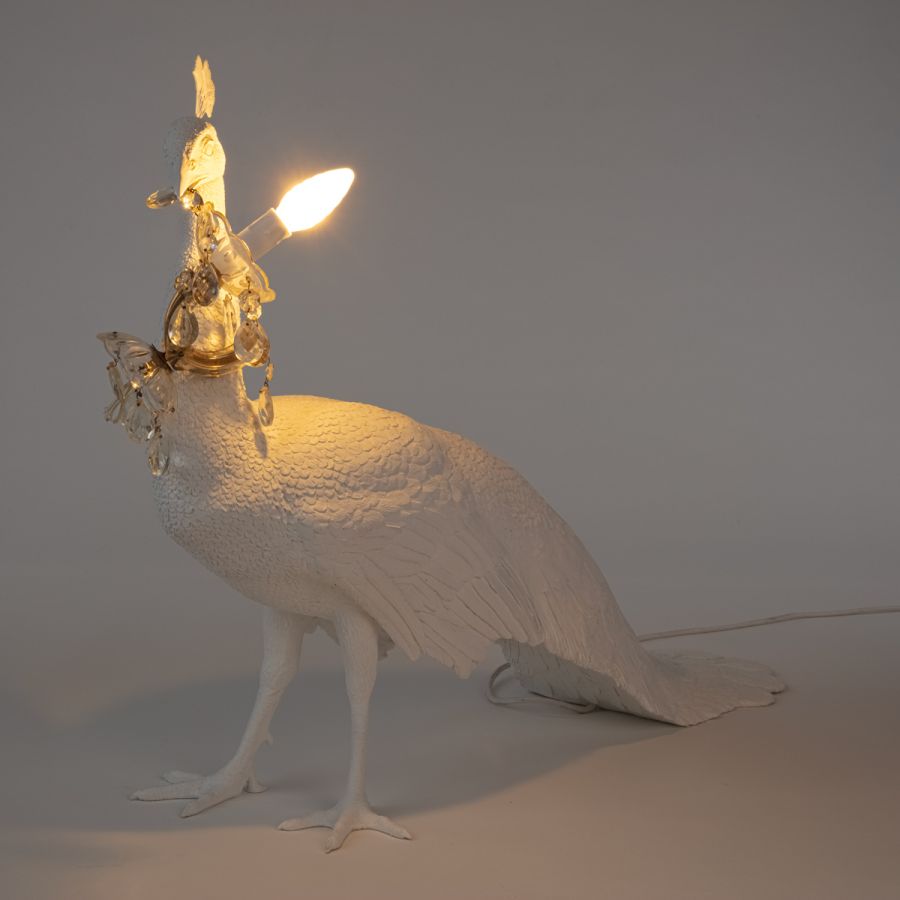 LED Resin Floor Lamp Peacock Led Lamp by Seletti