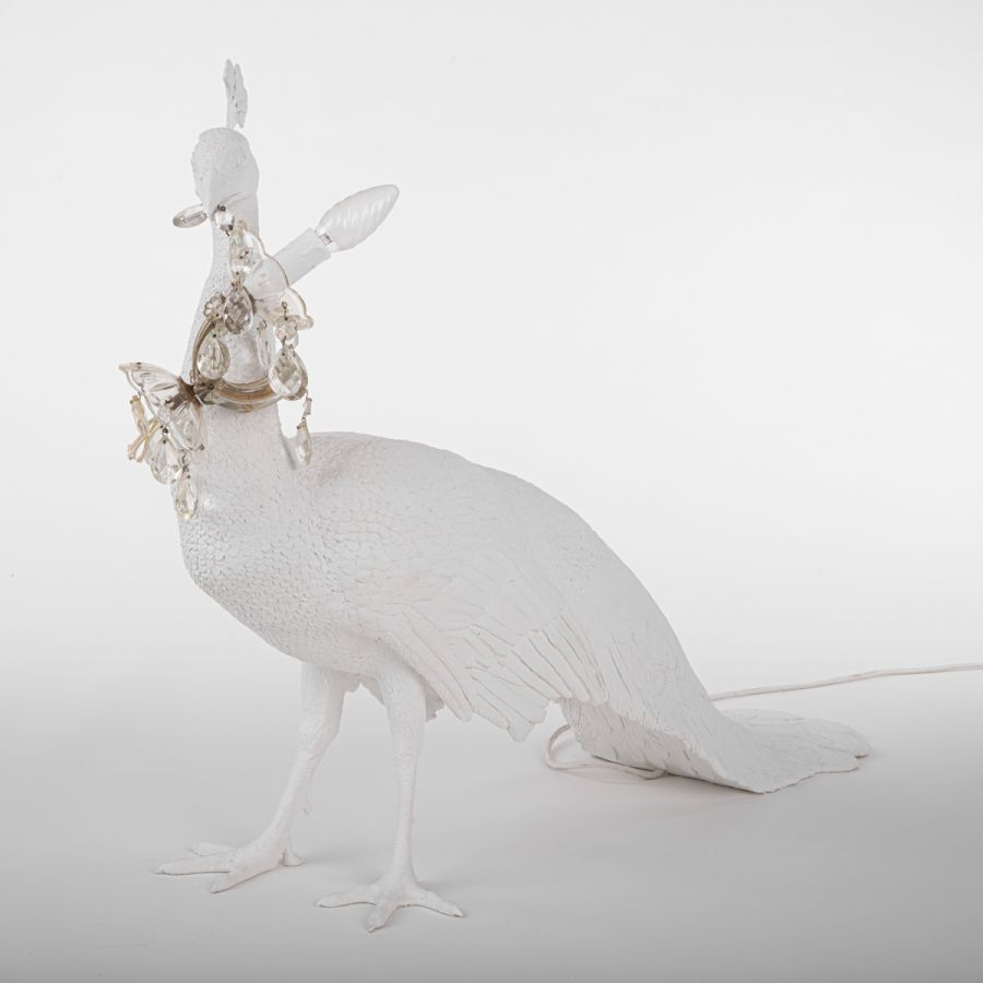 LED Resin Floor Lamp Peacock Led Lamp by Seletti