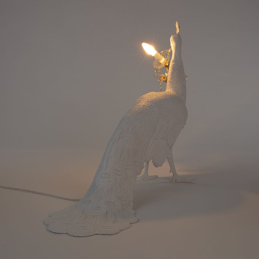 LED Resin Floor Lamp Peacock Led Lamp by Seletti