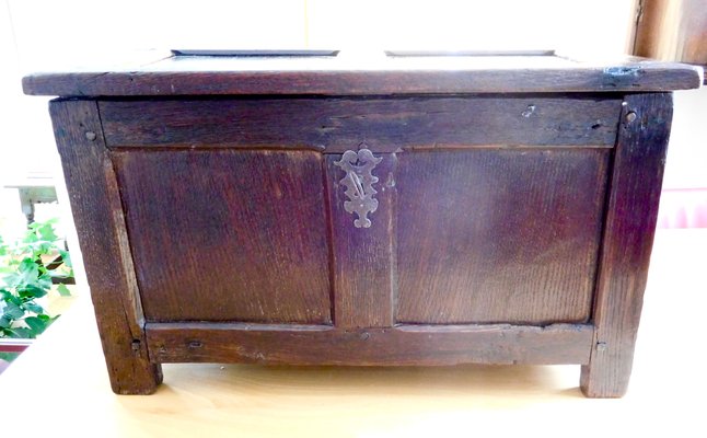 17th Century Oak Chest-WZZ-1349670