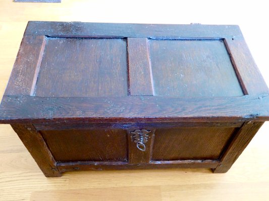 17th Century Oak Chest-WZZ-1349670