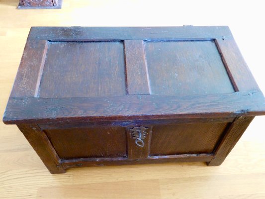 17th Century Oak Chest-WZZ-1349670