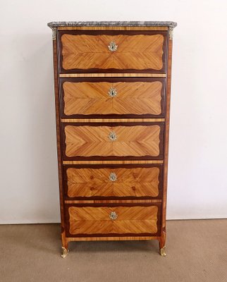 18th Century Louis XV Precious Wood Chest of Drawers-RVK-1424693