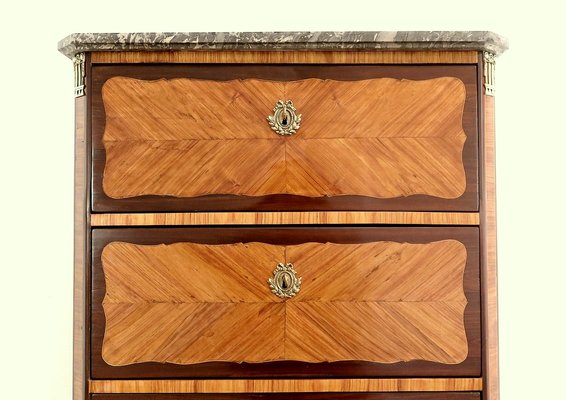 18th Century Louis XV Precious Wood Chest of Drawers-RVK-1424693