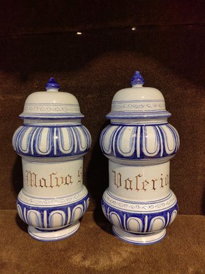 18th Century Malva and Valeriana Albarelli Jars in Blue and White Ceramic with Original Lids, Set of 2-ZFY-1720455