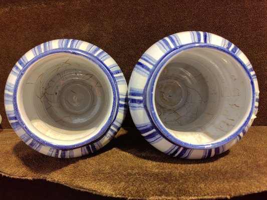 18th Century Malva and Valeriana Albarelli Jars in Blue and White Ceramic with Original Lids, Set of 2-ZFY-1720455