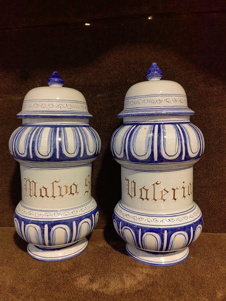 18th Century Malva and Valeriana Albarelli Jars in Blue and White Ceramic with Original Lids, Set of 2