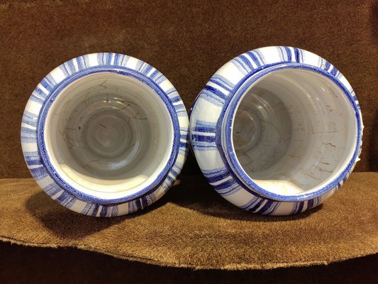 18th Century Malva and Valeriana Albarelli Jars in Blue and White Ceramic with Original Lids, Set of 2-ZFY-1720455