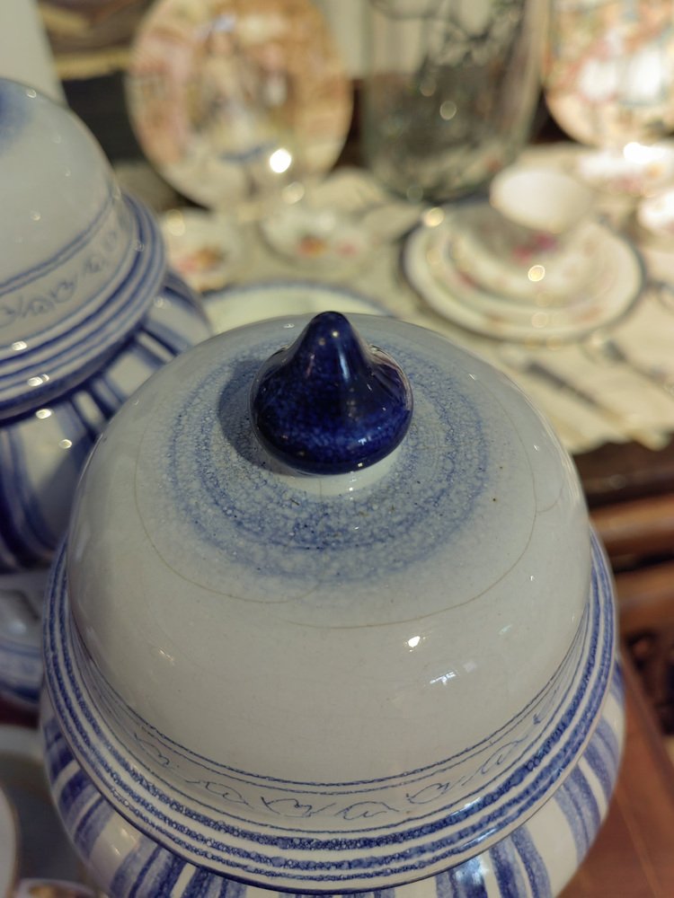 18th Century Malva and Valeriana Albarelli Jars in Blue and White Ceramic with Original Lids, Set of 2