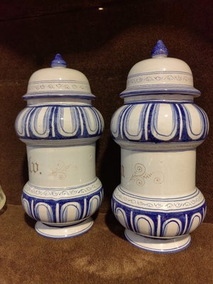 18th Century Malva and Valeriana Albarelli Jars in Blue and White Ceramic with Original Lids, Set of 2-ZFY-1720455