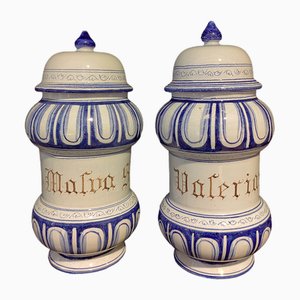 18th Century Malva and Valeriana Albarelli Jars in Blue and White Ceramic with Original Lids, Set of 2-ZFY-1720455