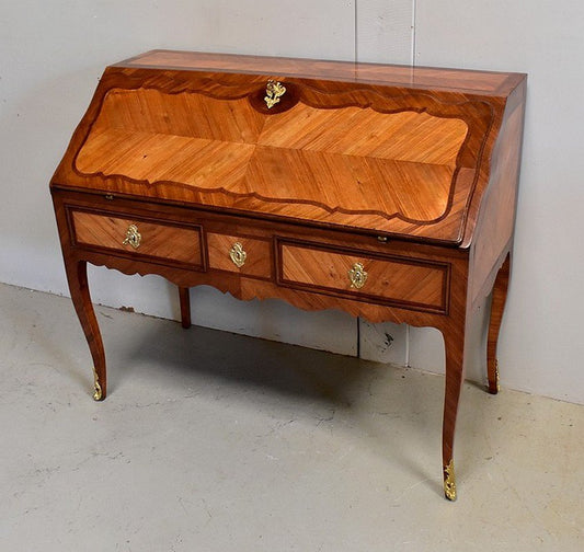 18th Century Regency Louis XV Mahogany and Rosewood Sloping Desk