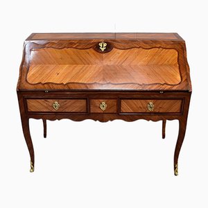 18th Century Regency Louis XV Mahogany and Rosewood Sloping Desk-RVK-694307