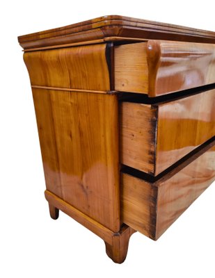 19th Century Biedermeier Cherrywood Chest of Drawers-WFJ-2034587