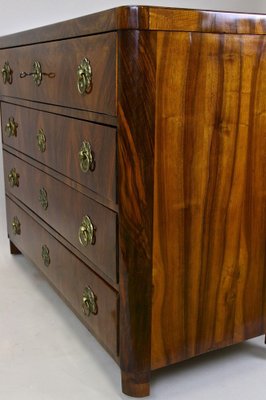 19th Century Biedermeier Chest of Drawers, Austria, 1830s-TQA-1446916