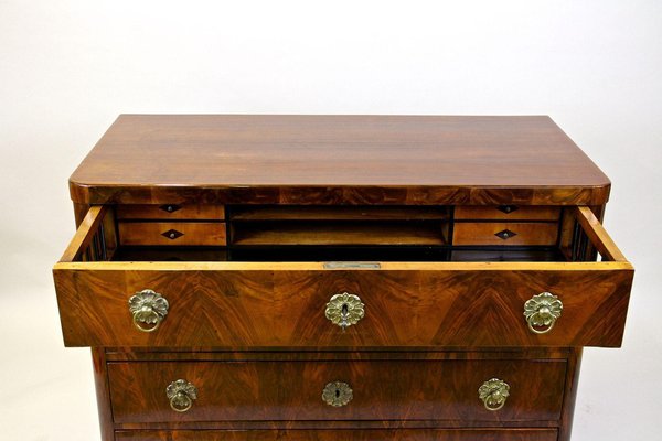 19th Century Biedermeier Chest of Drawers, Austria, 1830s-TQA-1446916