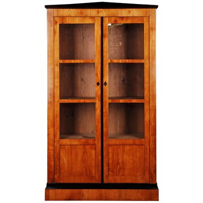 19th Century Biedermeier Style Bookcase or Vitrine-FLW-1401833