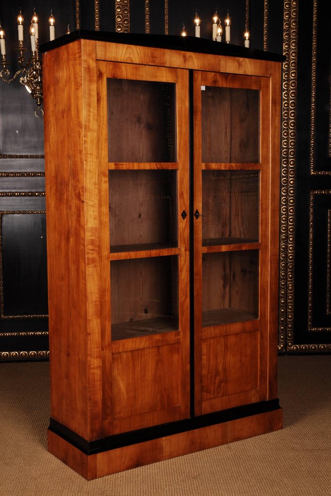 19th Century Biedermeier Style Bookcase or Vitrine-FLW-1401833