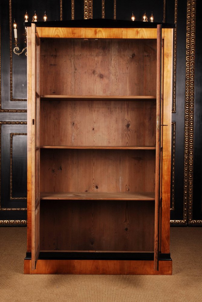 19th Century Biedermeier Style Bookcase or Vitrine-FLW-1401833