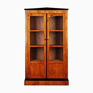 19th Century Biedermeier Style Bookcase or Vitrine-FLW-1401833