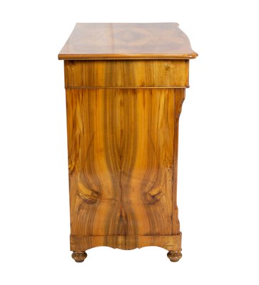 19th Century Biedermeier Walnut Half Cabinet-WFJ-884646