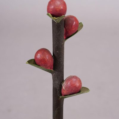 19th Century Botanic Model attributed to Robert Brendel, 1890s-KJP-1704306