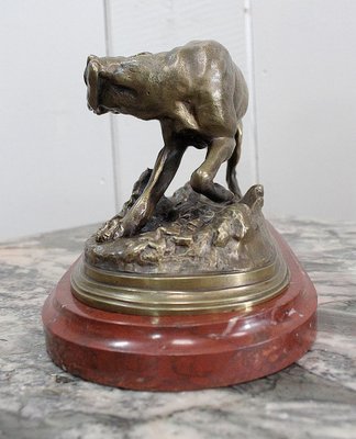 19th Century Bronze of A Braque Dog by P.j Mêne-RVK-805886