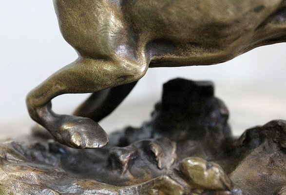 19th Century Bronze of A Braque Dog by P.j Mêne-RVK-805886