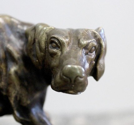 19th Century Bronze of A Braque Dog by P.j Mêne-RVK-805886