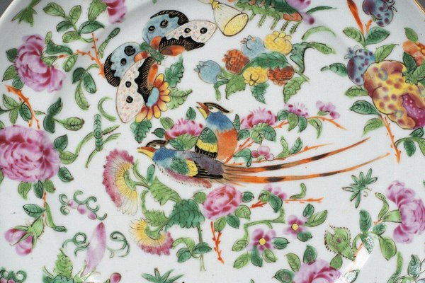 19th Century Canton Porcelain Plate with Butterflies and Birds-QKG-1799989