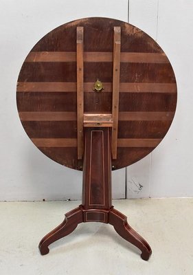 19th Century Charles X Pedestal Table in Mahogany Bramble Veneer & Marquetry-RVK-696183