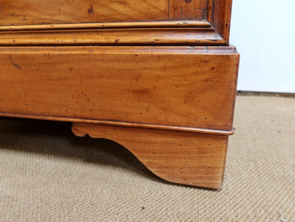 19th Century Cherry Library Cabinet