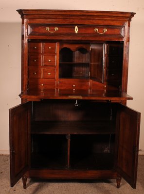 19th Century Cherrywood Secretary in the style of Louis XVI-HPU-1339022