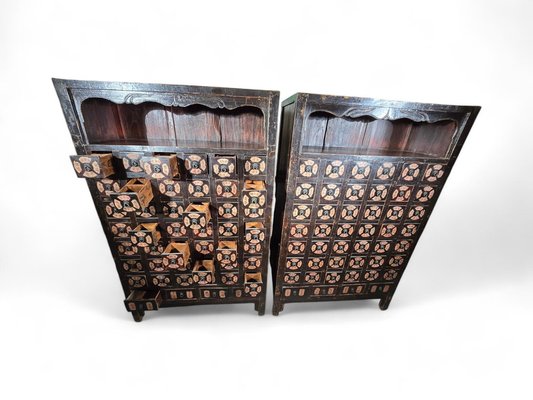 19th Century Chinese Pharmacy Cabinets, 1860, Set of 2-FDW-2039596