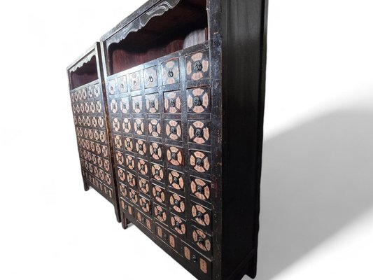 19th Century Chinese Pharmacy Cabinets, 1860, Set of 2-FDW-2039596