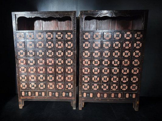 19th Century Chinese Pharmacy Cabinets, 1860, Set of 2-FDW-2039596