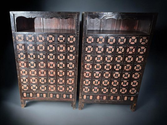 19th Century Chinese Pharmacy Cabinets, 1860, Set of 2-FDW-2039596