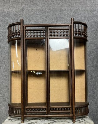 19th Century Collectors Display Case with Tapestry Background and Convex Glasses, Asia-MWB-2043365