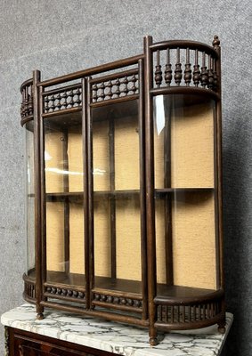 19th Century Collectors Display Case with Tapestry Background and Convex Glasses, Asia-MWB-2043365