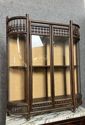 19th Century Collectors Display Case with Tapestry Background and Convex Glasses, Asia-MWB-2043365