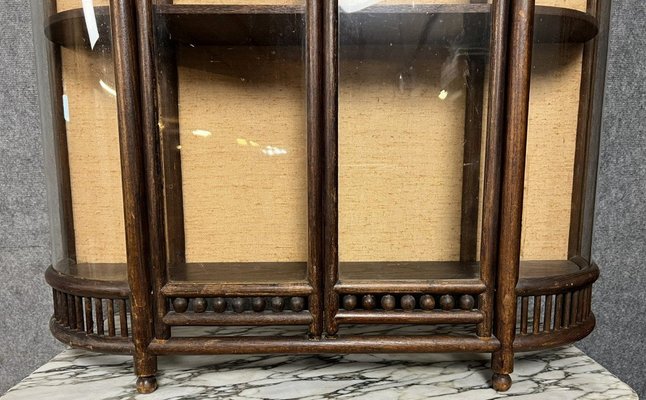 19th Century Collectors Display Case with Tapestry Background and Convex Glasses, Asia-MWB-2043365