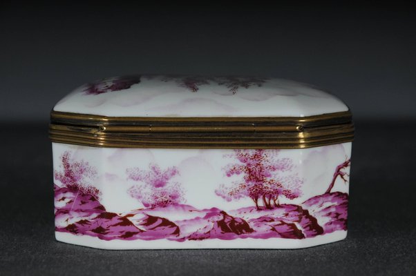 19th Century Decorative Sèvres Box-FLW-1402352