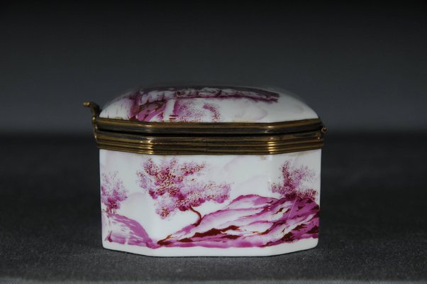 19th Century Decorative Sèvres Box-FLW-1402352